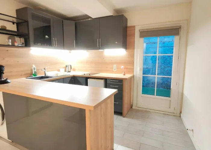 Cosy Camelia - T1 - Hypercentre Avec Patio