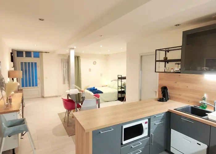 Διαμέρισμα Cosy Camelia - T1 - Hypercentre Avec Patio Pau